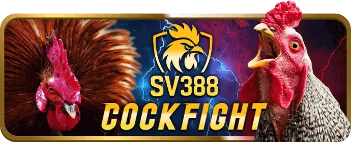 Cách chọn trò chơi game bài tại jj888 để giải trí